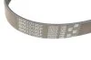 Ремінь GATES 6PK1019SF (фото 3)