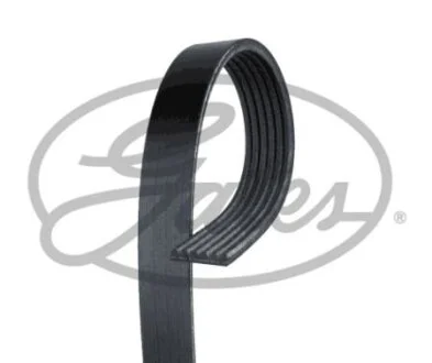 Ремінь полікліновий GATES 6PK1055XS