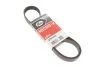 Ремінь генератора поліклиновий GATES 6PK1245
