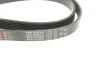 Ремінь генератора клиновий GATES 6PK1830XS (фото 4)