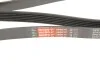 Ремінь генератора клиновий GATES 6PK1830XS (фото 5)