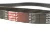 Ремінь GATES 6PK2390 (фото 4)