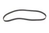 Комплект ГРМ 1.9D Kangoo 97-03/Clio 91-05/Rapid 94-98 GATES K015484XS (фото 11)