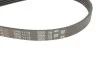 Комплект ременя генератора GATES K015PK1113 (фото 4)