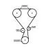 Комплект ГРМ CITROËN C3/C4/PEUGEOT 2008/208/3008/308 1.2 THP 14- GATES K02T360HOB (фото 2)