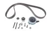 Комплект ГРМ A6/Octavia/Caddy/T6/Passat 1.6/2.0 TDi 12- GATES K055678XS (фото 1)