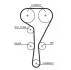 Комплект ГРМ (+помпа) Renault Megane II/III/Clio III/Scenic II/Trafic 2.0 16V 01- (27x126z) GATES KP45550XS (фото 2)