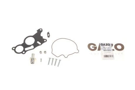 Ремкомплект насосу вакуумного GZ-F1273 GAZO GZF1273