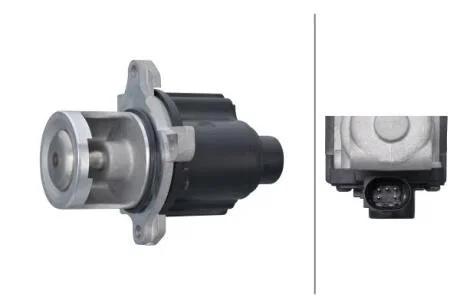VW Клапан EGR Audi A4/5/6, Q7, Touareg 3.0/6.0TDI 04- HELLA 6NU 014 864631