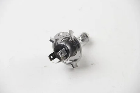 Лампа розжарювання, основна фара HELLA 8GJ 002 525481