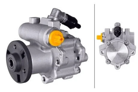 BMW Гідравлічний насос Е60 HELLA 8TL 359 003451