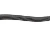 Ремінь генератора (поліклиновий) HUTCHINSON 875 K 5 (фото 2)