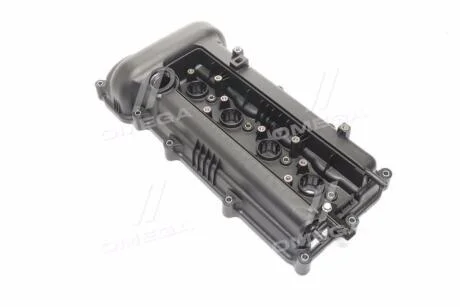 Кришка клапанна Hyundai/Kia/Mobis 224102B002