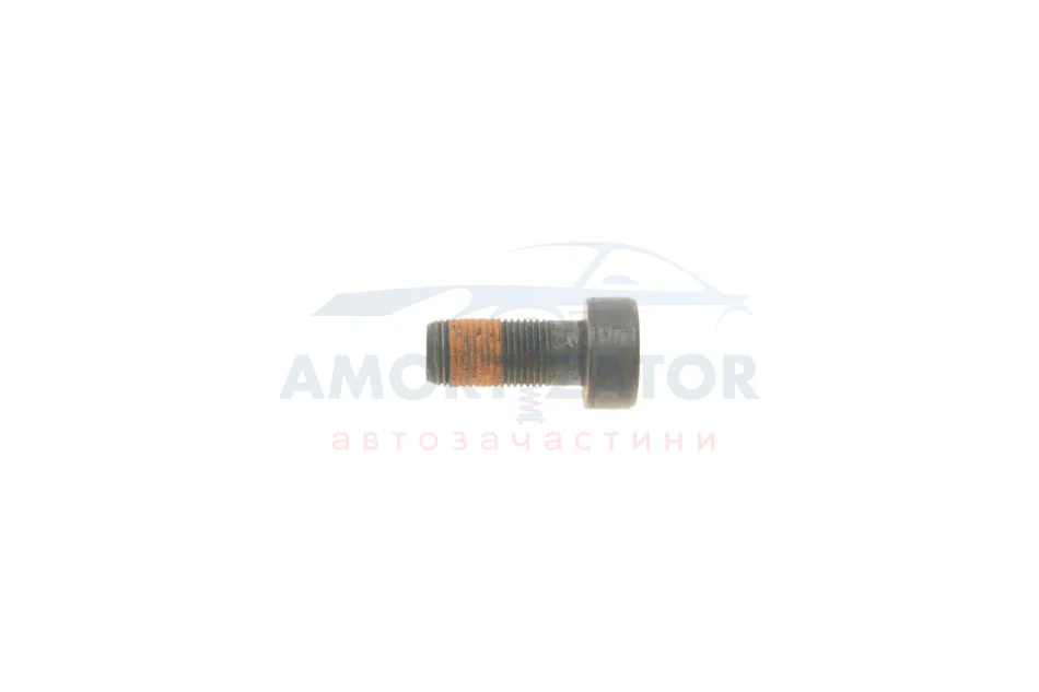 Болт кріплення маховика Hyundai/Kia/Mobis 232312F000 (фото 1)