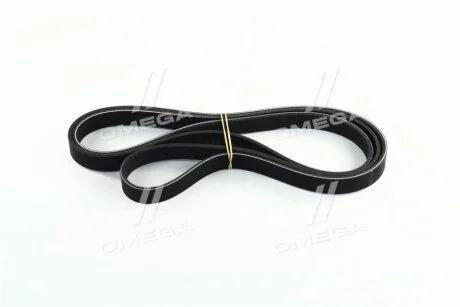Ремінь Hyundai/Kia/Mobis 252122B000