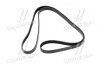 Ремінь поліклиновий Hyundai Tucson/Kia Sportage 04- (Mobis) Hyundai/Kia/Mobis 2521237182 (фото 1)