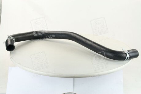 HYUNDAI Hyundai/Kia/Mobis 254143K100