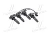 Котушки Hyundai/Kia/Mobis 273002B010 (фото 1)