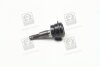HYUNDAI Hyundai/Kia/Mobis 544303K000 (фото 1)