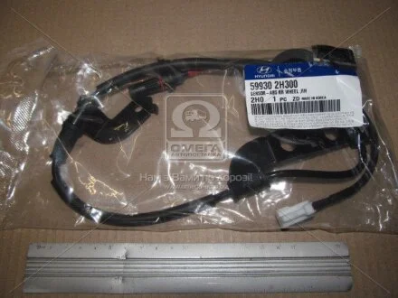 Сенсор АБС задній правий Hyundai/Kia/Mobis 599302H300