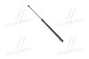 HYUNDAI Hyundai/Kia/Mobis 811613L001 (фото 1)