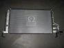 Радиатор кондиционера H-1 Hyundai/Kia/Mobis 976064H000 (фото 1)