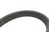Комплект ременя генератора INA 529 0412 10 (фото 3)