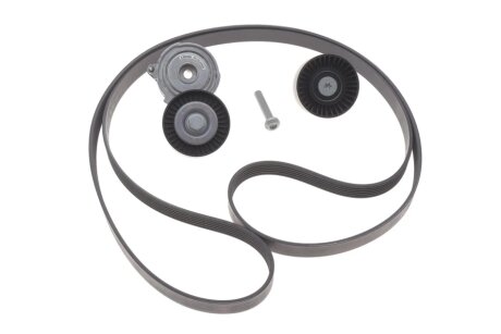 Комплект поліклинових ременів INA 529 0509 10