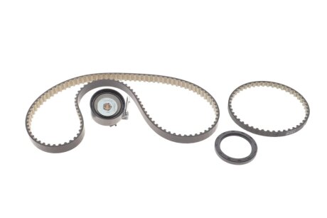 Комплект зубчастих ременів INA 530 0958 10