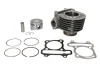 Циліндр (4T) KYMCO AGILITY, PEOPLE MALAGUTI CIAK 150 1999-2015 INPARTS IP000442 (фото 1)
