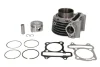 Циліндр (4T) KYMCO AGILITY, PEOPLE MALAGUTI CIAK 150 1999-2015 INPARTS IP000442 (фото 2)