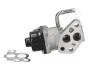 FORD клапан EGR Focus,Mondeo I,II,III 2.0 93- JAPANPARTS EGR0307 (фото 1)