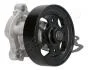NISSAN помпа води Primera,X-Trail 2.0 01-,Renault Koleos 2.5 08- JAPANPARTS PQ176 (фото 3)