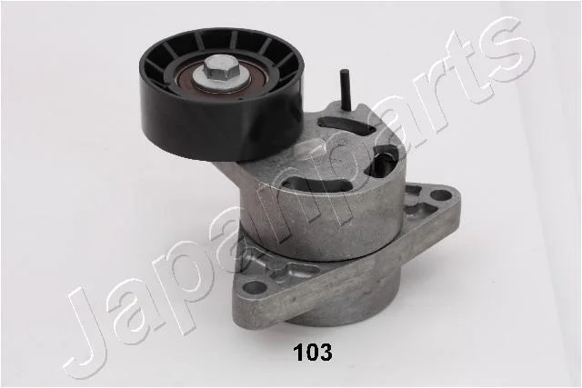 RENAULT ролик з натягувачем Master II,Trafic II,Laguna,Opel 2.2/2.5dCi 01- JAPANPARTS TS103 (фото 1)