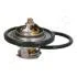 FORD термостат з прокладкою t-82C Fiesta V 01-, Focus || 04-, Mazda 2 03- JAPANPARTS VT316 (фото 2)