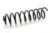 SEAT пружина задня L=349mm Cordoba -02 JAPANPARTS ZC5496C (фото 1)