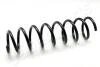Пружина задн. BMW 7 E65 JAPANPARTS ZC6695C (фото 1)