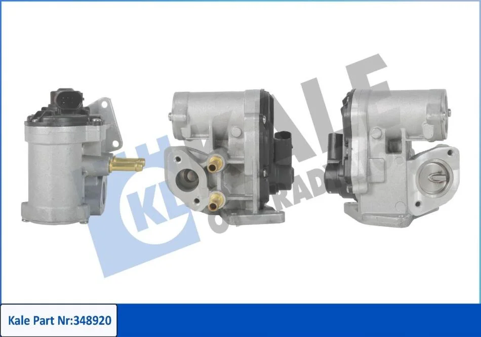 AUDI клапан EGR A3, SKODA OCTAVIA, VOLKSWAGEN EOS / GOLF V / JETTA III / PASSAT / POLO / TOURAN KALE 348920 (фото 1)