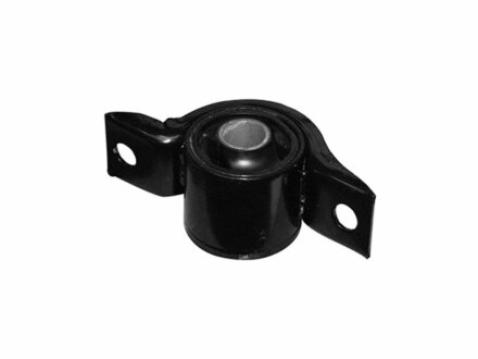 -TEKNOROT FORD С/блок передн.важеля нижн.задн.Focus 98- KAUTEK FD-BS024