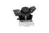 PARTS TOYOTA Опора двигуна права RAV 4 III 2.0/2.4 05-13 KAVO EEM9379 (фото 4)