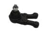 PARTS HYUNDAI кульова опора нижн.прав.H-1,Starex 01- KAVO SBJ-3022 (фото 4)