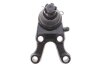 Кульова опора (шарнір) PARTS KAVO SBJ-5506 (фото 5)