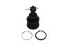 PARTS TOYOTA кульова опора Yaris 1.0 05-11, 1.8 07-11 KAVO SBJ-9034 (фото 1)
