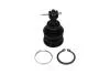 PARTS TOYOTA кульова опора Yaris 1.0 05-11, 1.8 07-11 KAVO SBJ9034 (фото 1)
