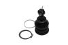 PARTS TOYOTA кульова опора Yaris 1.0 05-11, 1.8 07-11 KAVO SBJ-9034 (фото 2)