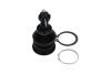 PARTS TOYOTA кульова опора Yaris 1.0 05-11, 1.8 07-11 KAVO SBJ-9034 (фото 4)