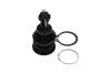 PARTS TOYOTA кульова опора Yaris 1.0 05-11, 1.8 07-11 KAVO SBJ9034 (фото 4)