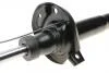 PARTS VW Амортизатор газ.передн.(50) лів./прав.Golf V,VI, Caddy III,Skoda Octavia II KAVO SSA10304 (фото 6)