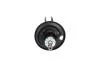 PARTS TOYOTA амортизатор газ.передн.лів.Yaris 05- KAVO SSA9013 (фото 3)