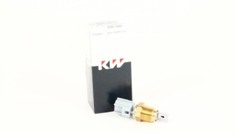 Датчик, температура вхідного повітря KW 494004